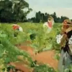 Branding Cooperativa Viver El arte de la huerta