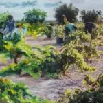 Branding Cooperativa Viver El arte de la huerta